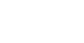 National Inclusion Council